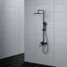 Душевая система FRAP H62 F2462 черный матовый