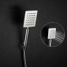 Душевой гарнитур FRAP F8017 нержавеющая сталь