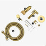 Гигиенический душ FRAP F7505-3 со смесителем, золотой