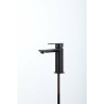 Смеситель для раковины FRAP H202-6 F10202-6 черный