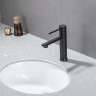 Смеситель для раковины FRAP H899 F10899-26