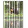 Тканевая шторка для ванны FRAP F8608